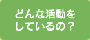 どんな活動をしているの？