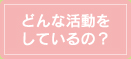 どんな活動をしているの？