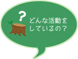 どんな活動をしているの？