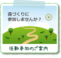 森づくりに参加しませんか？/活動参加のご案内